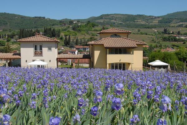 Casa Rosa Villa Greve in Chianti Exterior photo